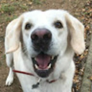 Meet your Posher, Cmnjte